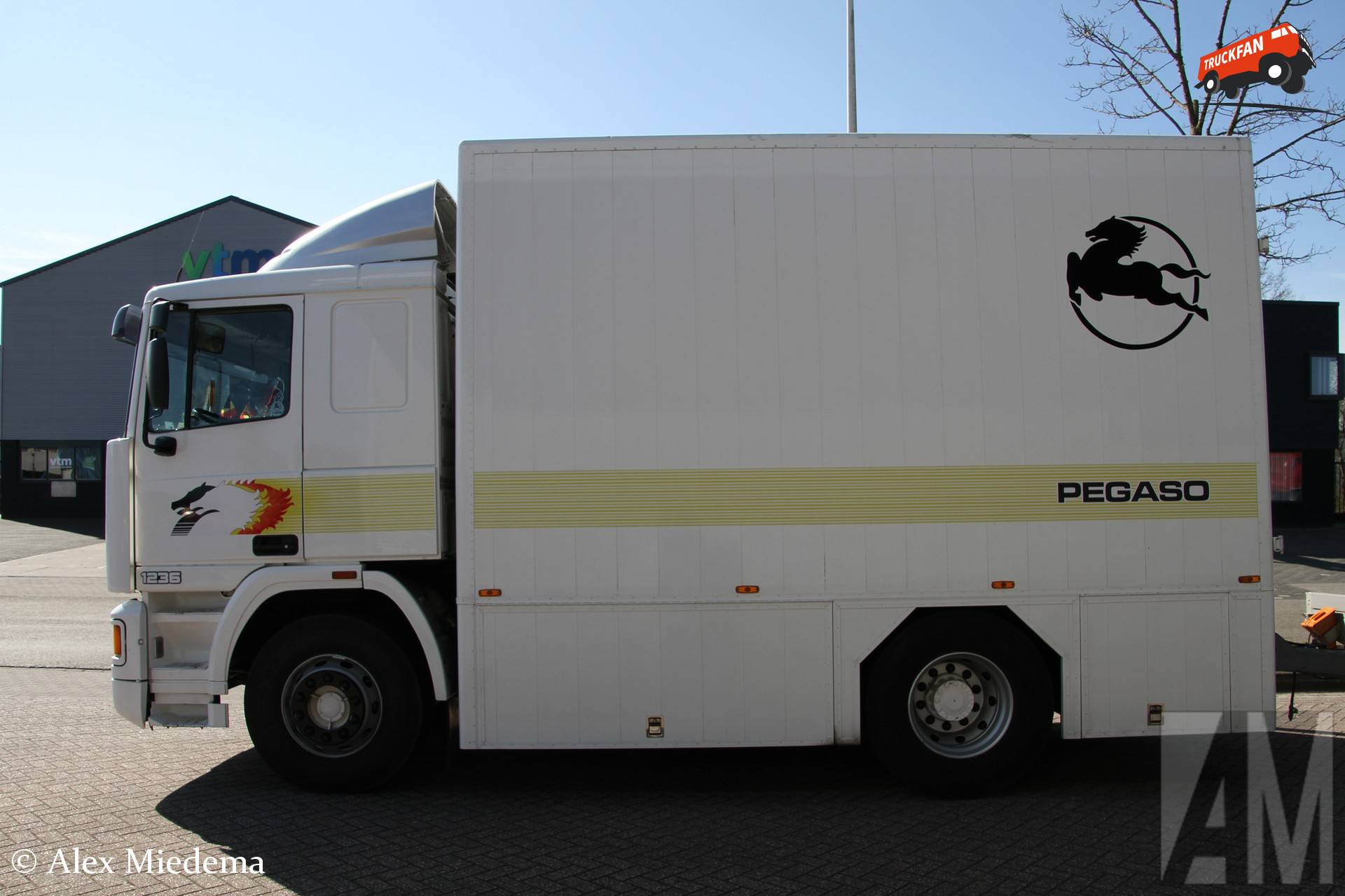 Pegaso Troner