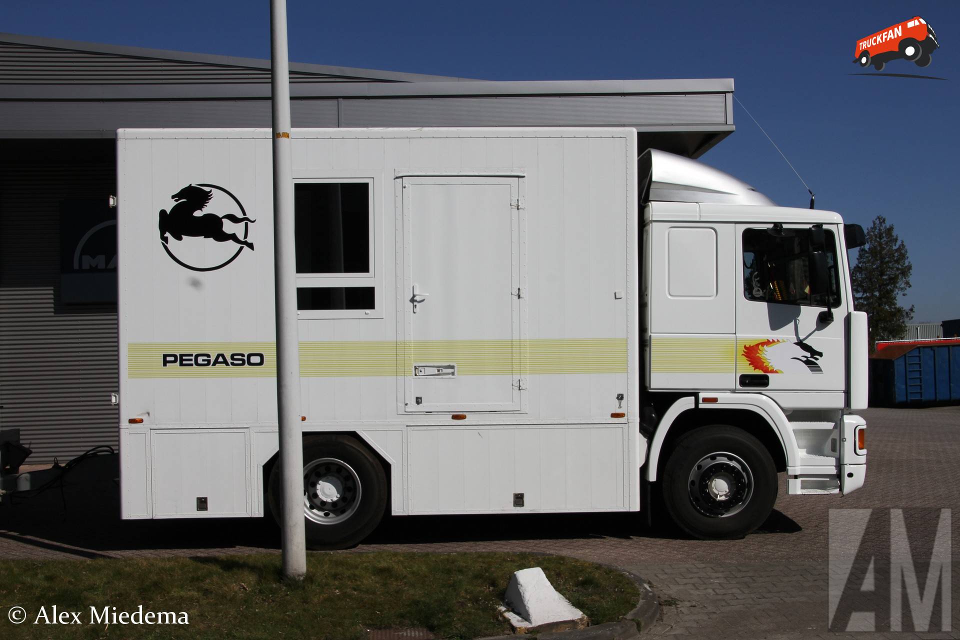 Pegaso Troner