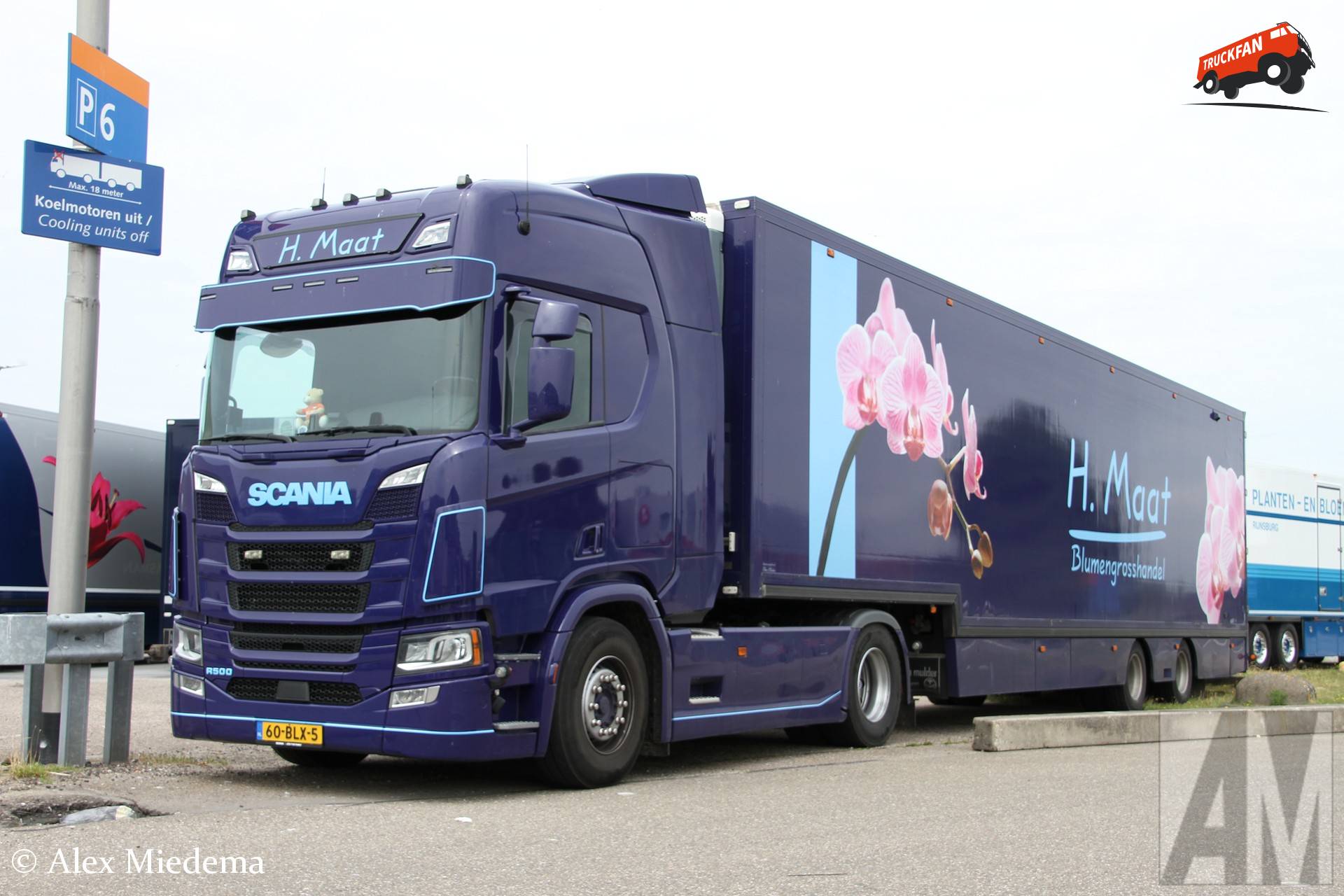 Scania R500 (new)