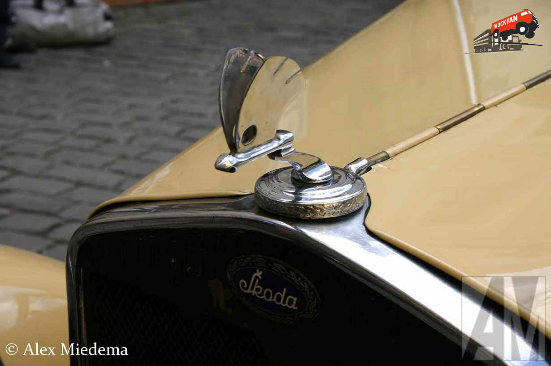 Skoda logo