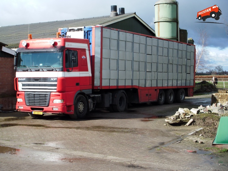 Daf xf95 предохранители