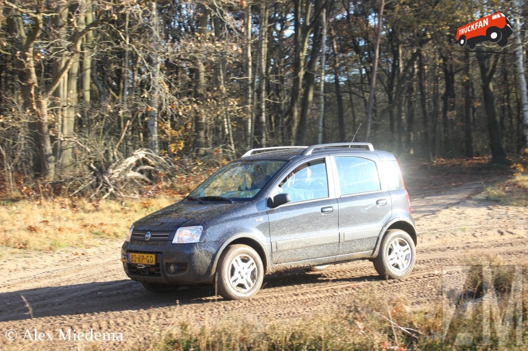 1128307-panda-fiat.jpg